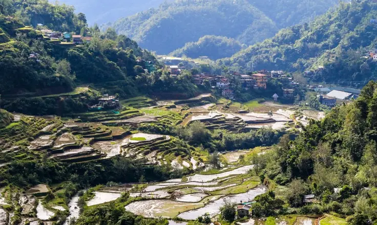 Philippines Introduces New VAT Obligations for Foreign Digital Service Providers