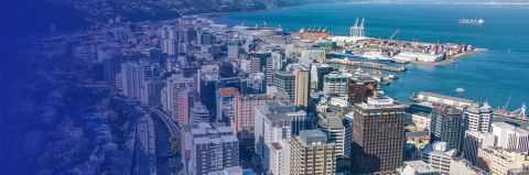 Electronic Invoicing in New Zealand