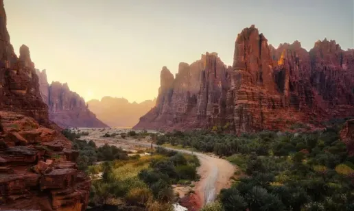 ZATCA Announces 22nd Group for E-Invoicing Integration